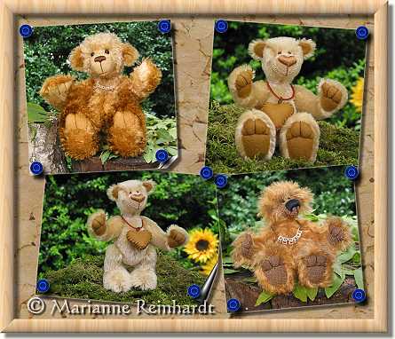 Alle Teddys auf der Pinnwand heien "Bonbon" in unterschiedlichen Gren, mit kurzem und langem Fellen.