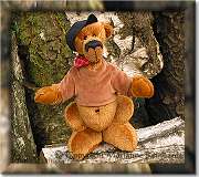 Teddy Flasche ca. 33cm