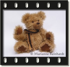 Teddy-Bild Kasimir