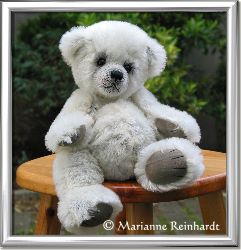 Teddy-Bild Sternchen