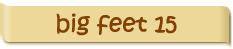 big feet 15