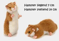 Hamster