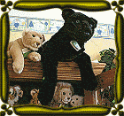 Bild Pl�schtire. Das schwarze Kuscheltier